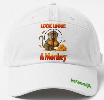 Picture of Look Look a Monkey