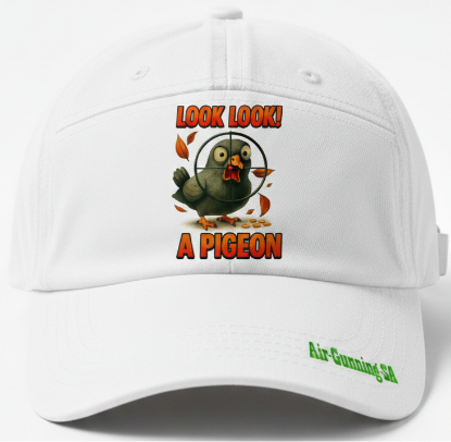 Picture of Look Look a Pigeon